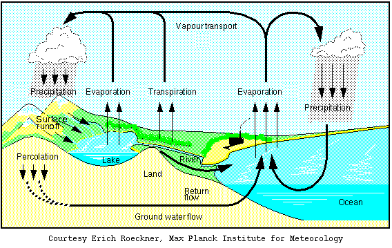 Water _cycle