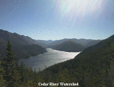 Path _htm _txt _Cedar River